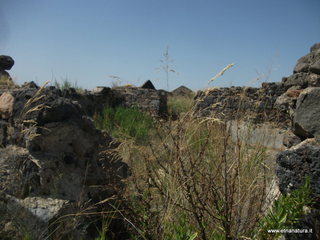 ammena-16-09-2015 11-57-02